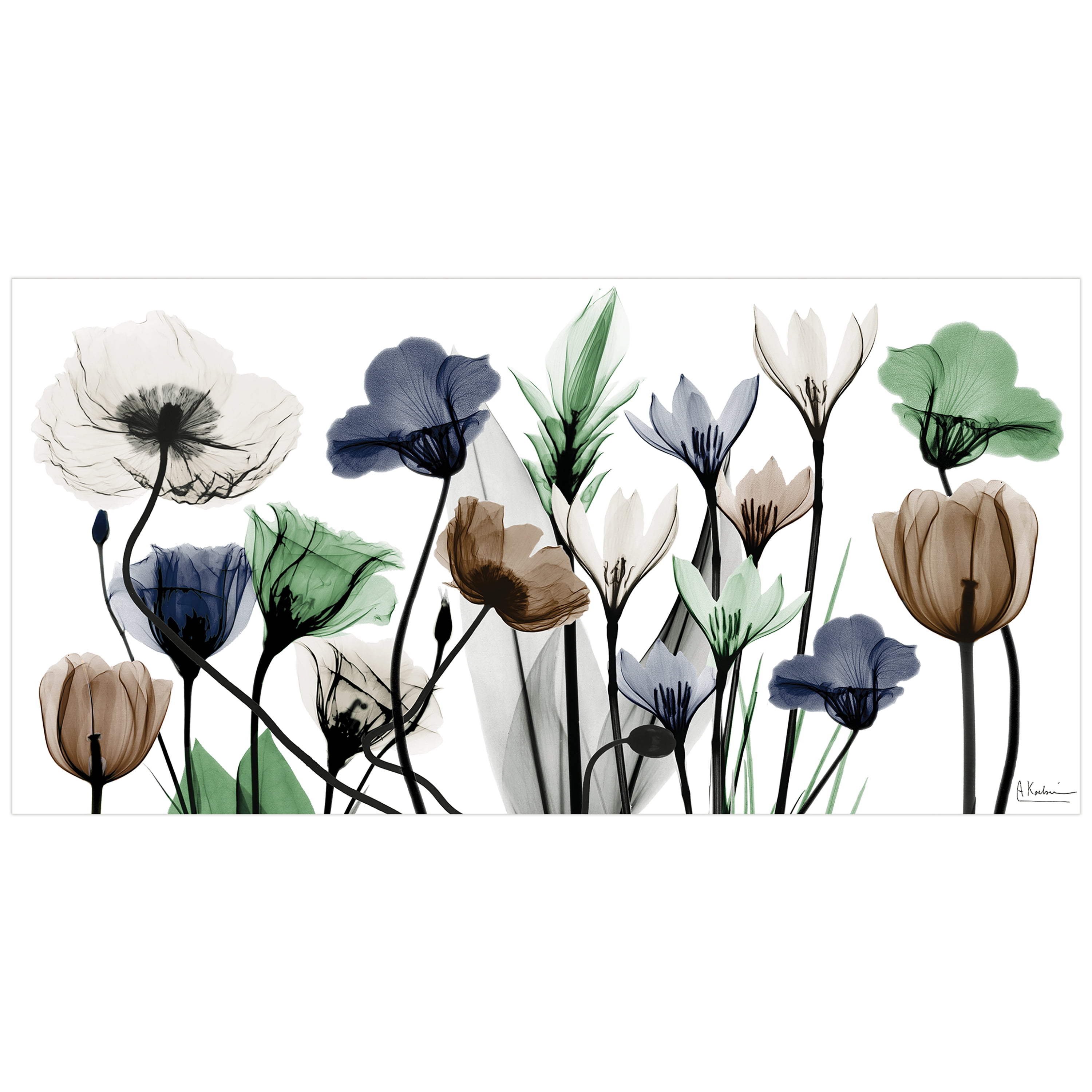 Empire Art Direct Floral Landscape Frameless Free Floating Tempered Glass Panel Graphic Flower Wall Art, 24" x 48" x 0.2", Ready to Hang -New