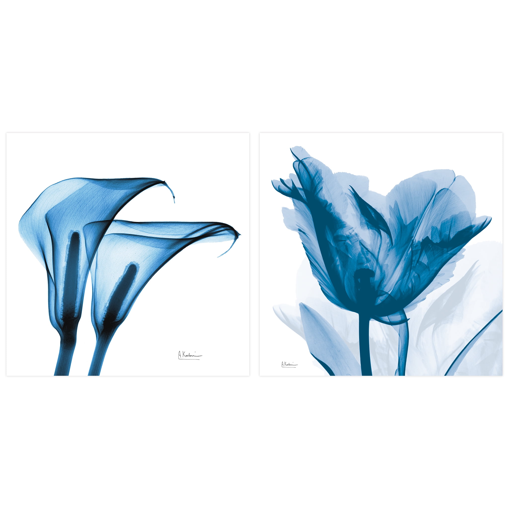 Empire Art Direct Lusty Blue Tulip & Indigo Calla Lililes Unframed Tempered Glass Wall Art, 24"x24" -New